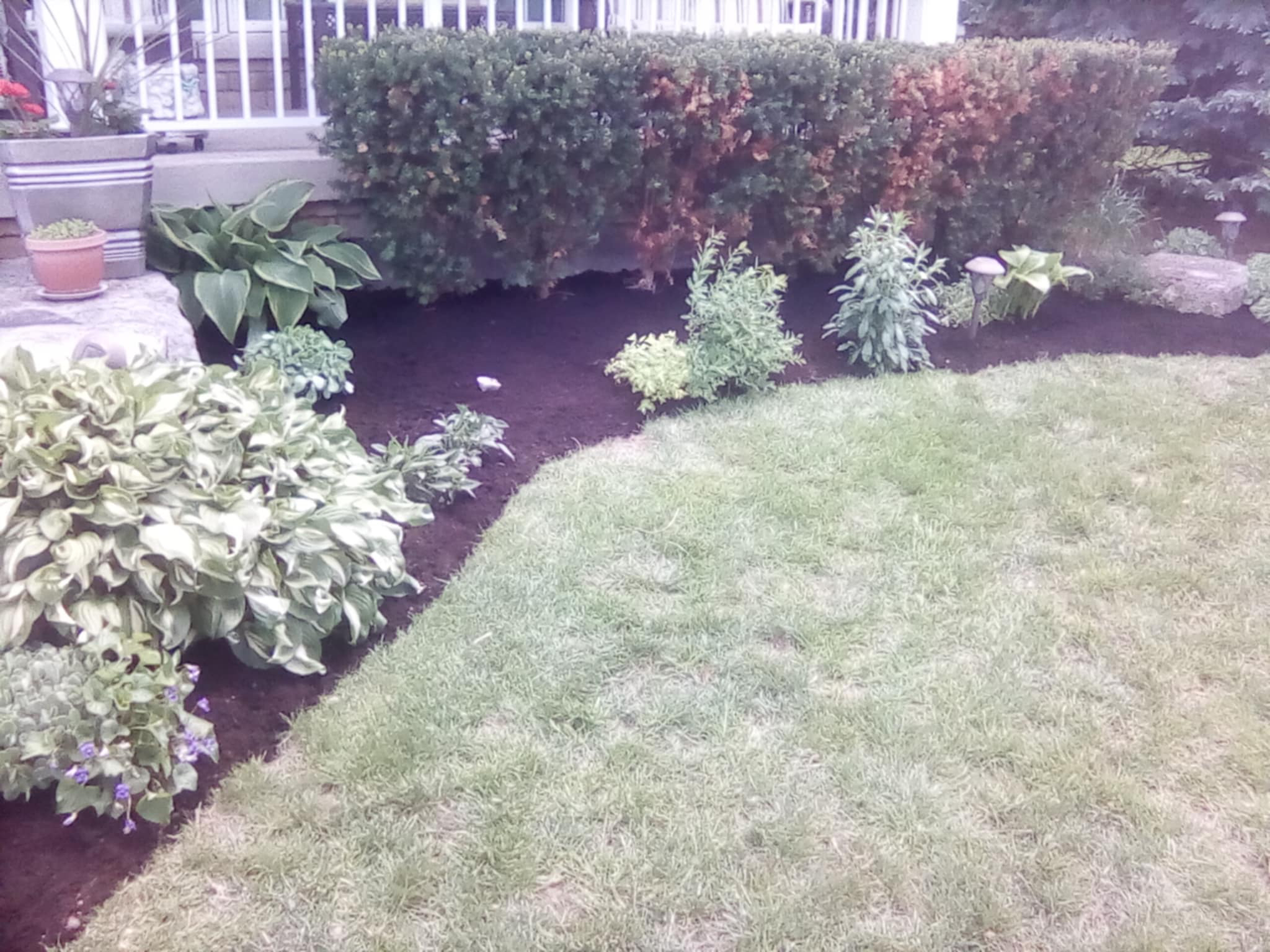 Lawn Care & Maintenance