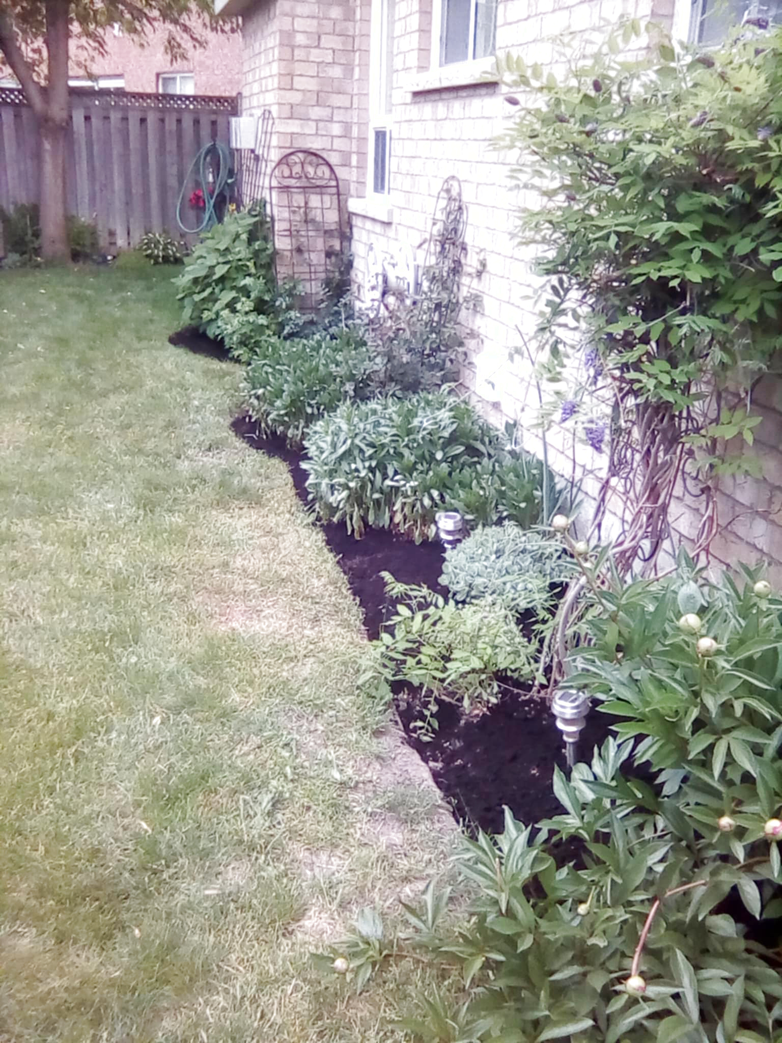 Weed Control